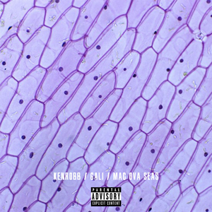 高启兰穿黑丝被草
